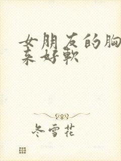 女朋友的胸摸起来好软封面