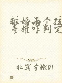 离婚两个孩子抚养权咋判定