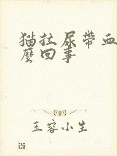 猫拉尿带血是怎么回事