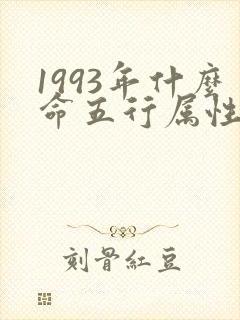 1993年什么命五行属性