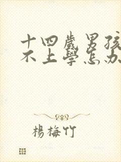 十四岁男孩叛逆不上学怎办