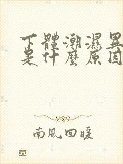 下体潮湿异味重是什么原因怎么办封面