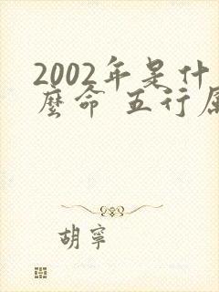 2002年是什么命 五行属什么