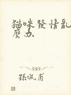 猫咪发情乱尿怎么办封面