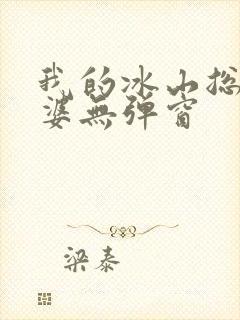 我的冰山总裁老婆无弹窗封面