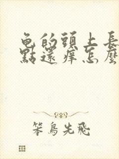 龟的头上长了红点还痒怎么回事