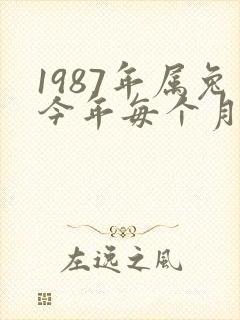 1987年属兔今年每个月财运