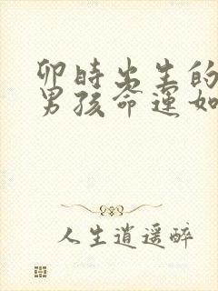 卯时出生的属龙男孩命运如何封面