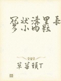 冠状沟里长了许多小肉粒