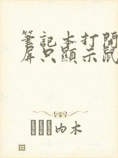 笔记本打开是黑屏只显示鼠标