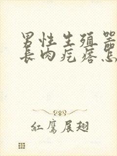 男性生殖器边缘长肉疙瘩怎么回事