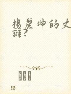 杨丽坤的丈夫是谁?