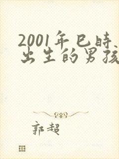 2001年巳时出生的男孩命运怎么样