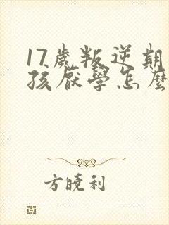 17岁叛逆期男孩厌学怎么办封面