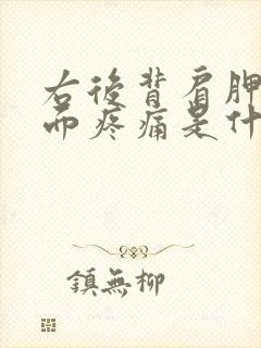 右后背肩胛骨里面疼痛是什么原因