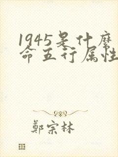 1945是什么命五行属性封面