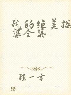 我的绝美总裁老婆全集封面