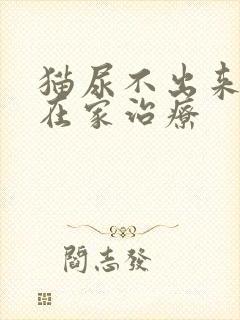 猫尿不出来怎么在家治疗