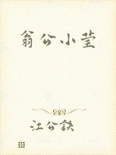 翁公小莹封面
