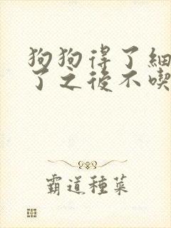 狗狗得了细小好了之后不吃东西怎么办