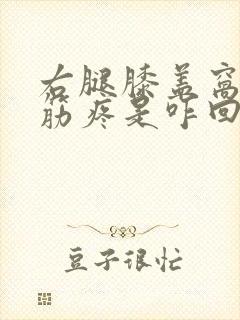 右腿膝盖窝外侧筋疼是咋回事