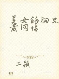 美女的胸又大又黄网站