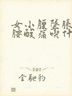 女小腹坠胀伴有腰酸痛吃什么药