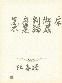 怎么判断床上是不是猫尿