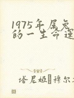 1975年属兔的一生命运封面