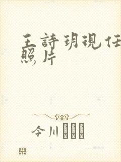 王诗玥现任丈夫照片