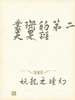 丛珊的第二任丈夫是谁