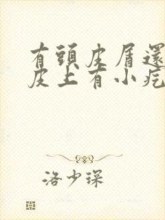 有头皮屑还有头皮上有小疙瘩