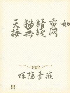 天猫精灵如何连接无线网封面