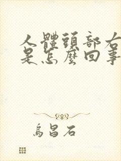 人体头部右边疼是怎么回事