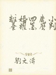 离婚四岁小孩抚养权怎么判定