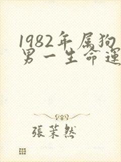 1982年属狗男一生命运如何