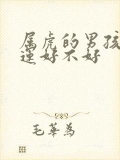 属虎的男孩子命运好不好