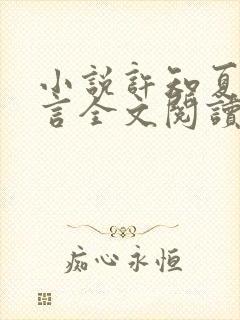 小说许知夏陆泽言全文阅读封面