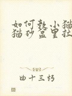 如何教小猫咪在猫砂盆里拉屎