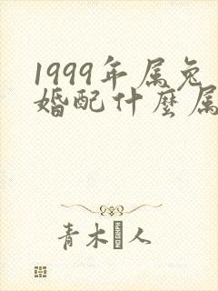 1999年属兔婚配什么属相最好