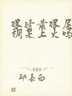 眼睛黄眼屎多粘稠是上火吗