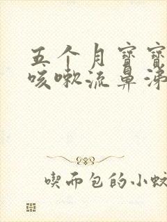 五个月宝宝有点咳嗽流鼻涕怎么办