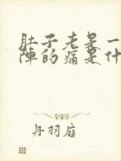 肚子老是一阵一阵的痛是什么原因