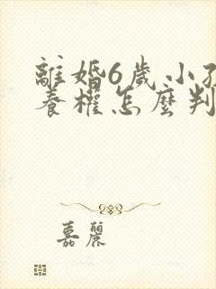 离婚6岁小孩抚养权怎么判定封面