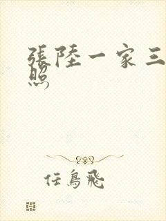 张陆一家三口近照