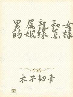 男属龙和女属兔的姻缘怎样啊