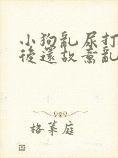 小狗乱尿打了之后还故意乱拉