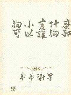 胸小有什么办法可以让胸部变大