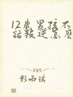 12岁男孩不听话叛逆怎么办封面