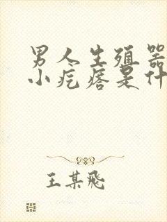 男人生殖器上长小疙瘩是什么原因